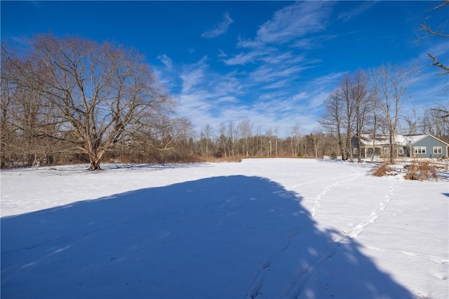 view of yard covered in snow