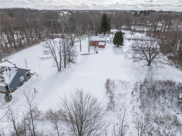 view of snowy aerial view