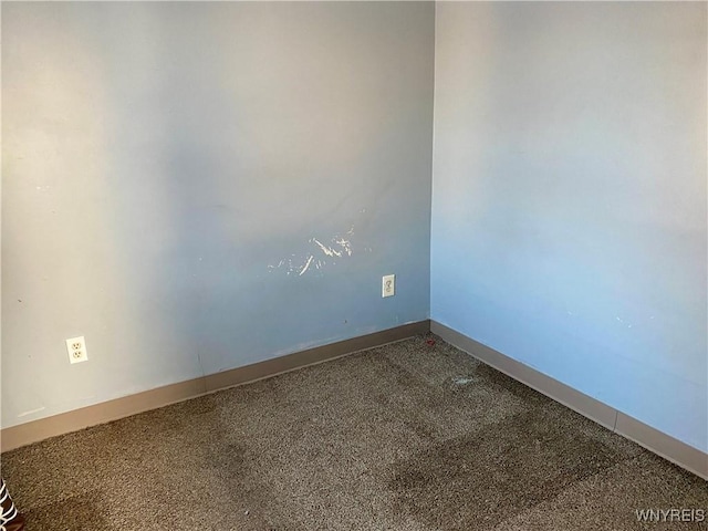 spare room with carpet