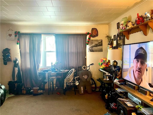 miscellaneous room featuring ornamental molding and carpet flooring