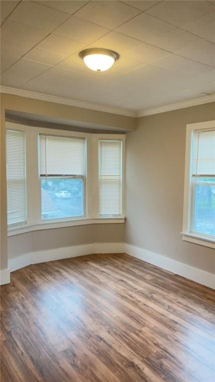 spare room featuring hardwood / wood-style floors and crown molding