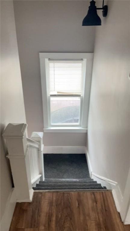 stairway with hardwood / wood-style floors