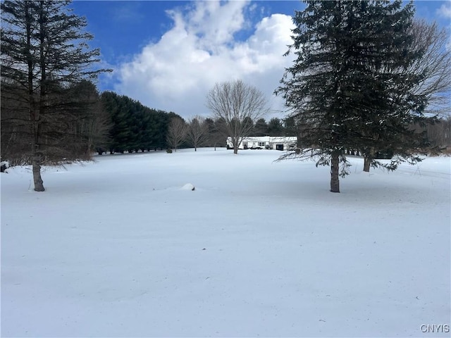 view of snowy yard