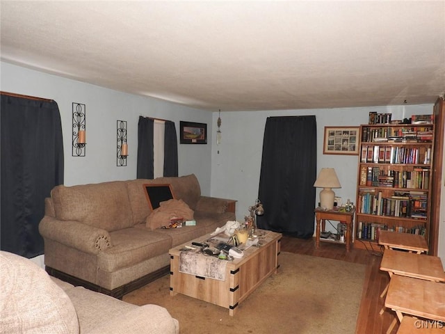 living room with light wood-type flooring