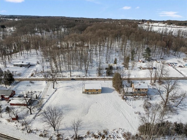 view of snowy aerial view