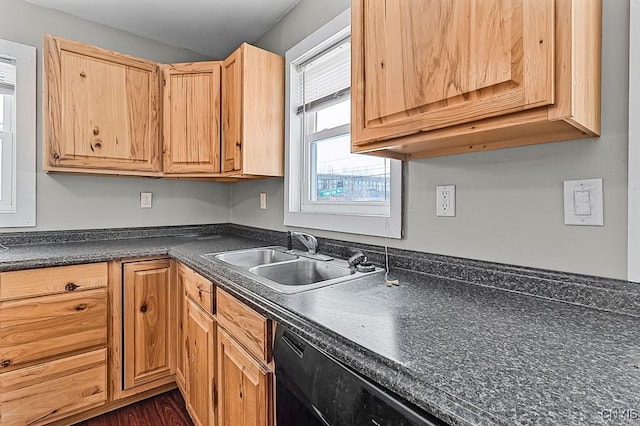 kitchen with sink and dishwasher