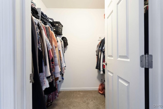 walk in closet with light carpet