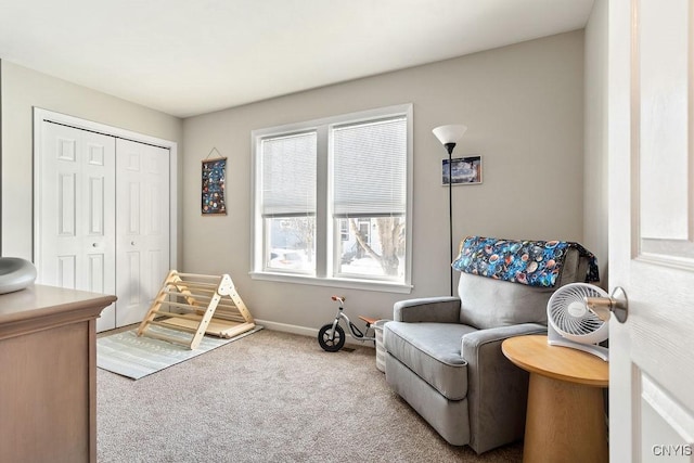 living area with carpet floors