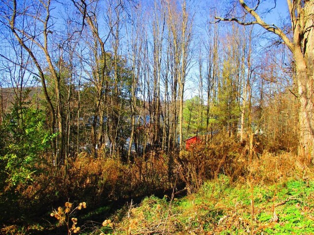 0 County Highway 31, Middlefield, NY 13326
