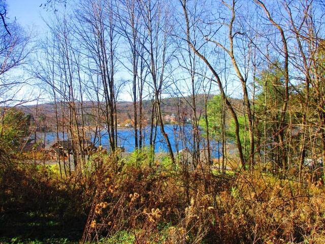 0 County Highway 31, Middlefield, NY 13326