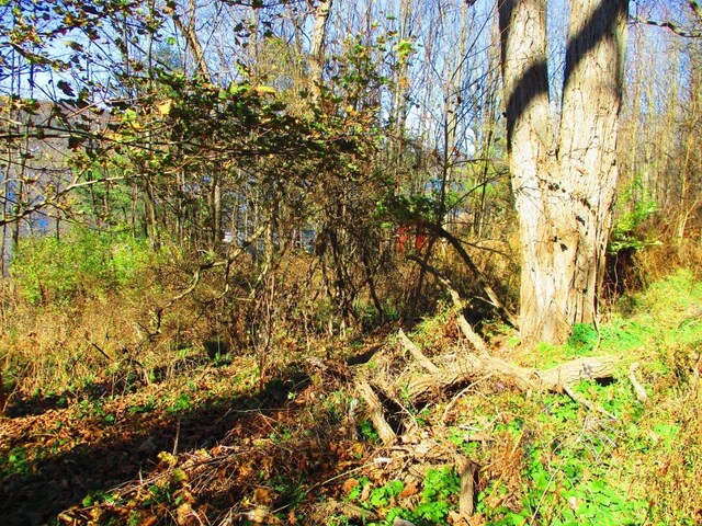 0 County Highway 31, Middlefield, NY 13326