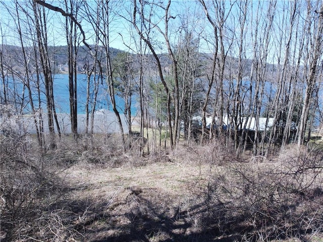 0 County Highway 31, Middlefield, NY 13326