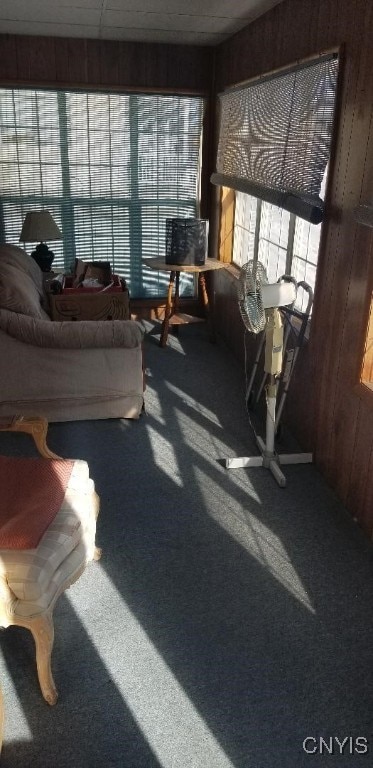 carpeted living room featuring a healthy amount of sunlight and wood walls