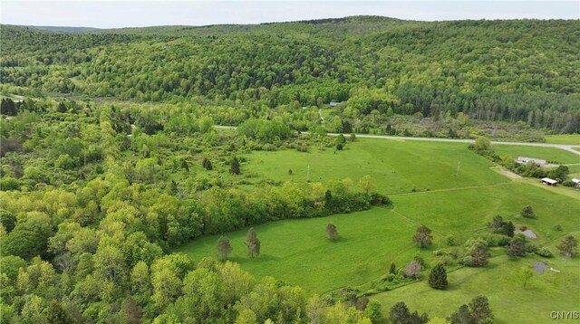 L9.7 County Rd 16, Smyrna, NY 13464 - photo 4