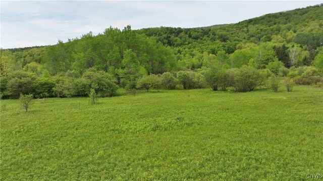 L9.7 County Rd 16, Smyrna, NY 13464 - photo 5