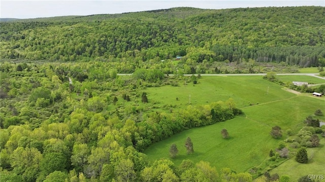 L9.8 County Rd 16, Smyrna, NY 13464