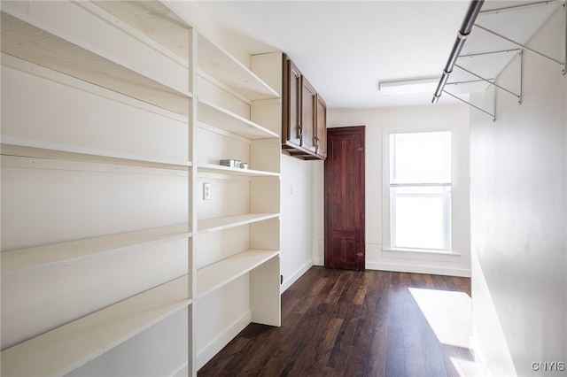 walk in closet with dark wood-type flooring