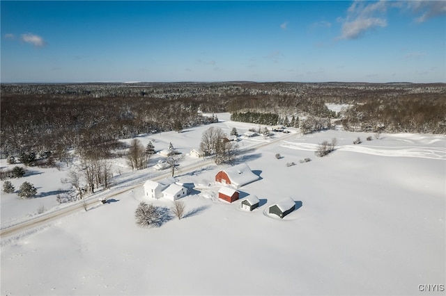 view of snowy aerial view