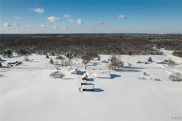 8052 Hayes Rd, Worth, NY 13659 - photo 29
