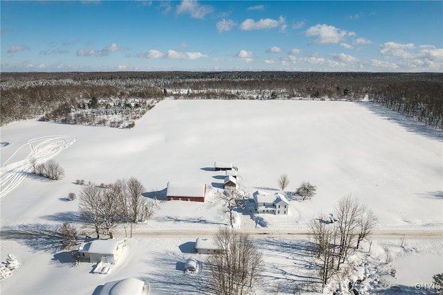 view of snowy aerial view