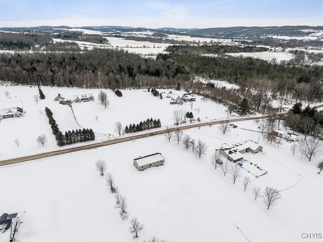 view of snowy aerial view