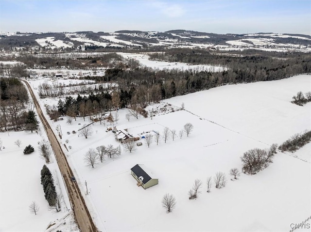 view of snowy aerial view