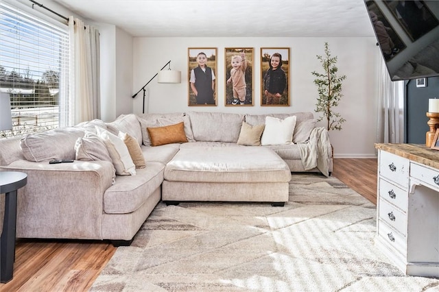 living room featuring light hardwood / wood-style flooring