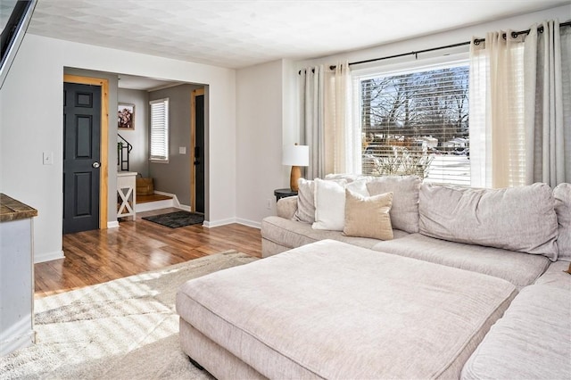 living room featuring wood-type flooring and plenty of natural light