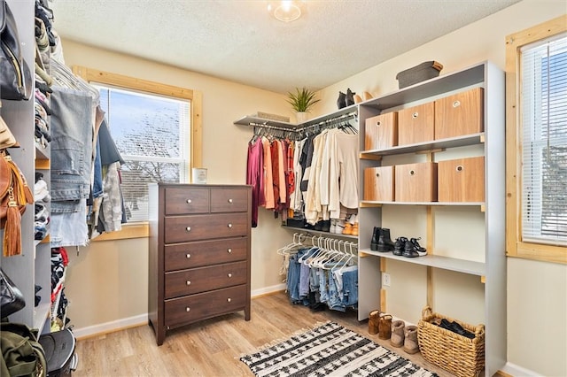 walk in closet featuring light wood-type flooring