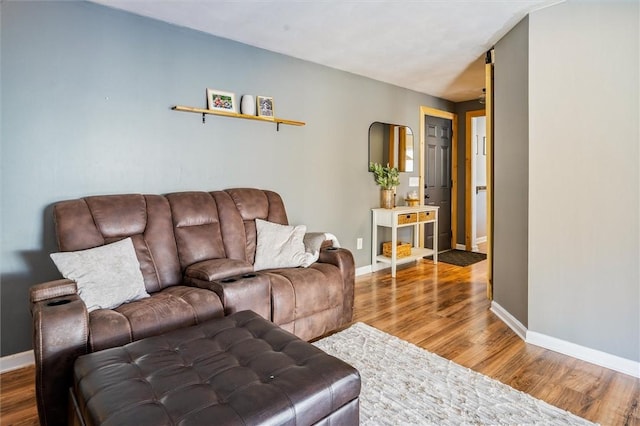 living room with hardwood / wood-style flooring