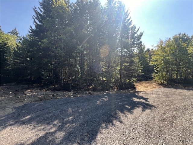 1105 Pardeeville Rd, Russia NY, 13324 land for sale