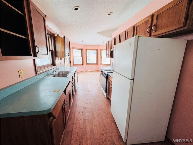 kitchen featuring white appliances, light wood-style flooring, brown cabinets, a textured ceiling, and a sink