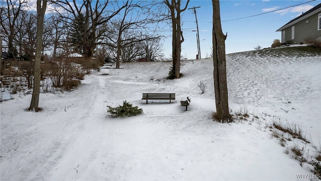 view of yard layered in snow