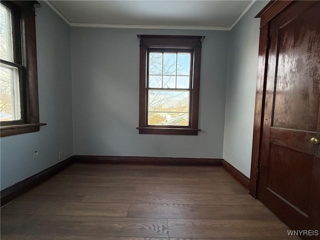 unfurnished room featuring ornamental molding, plenty of natural light, and dark hardwood / wood-style floors