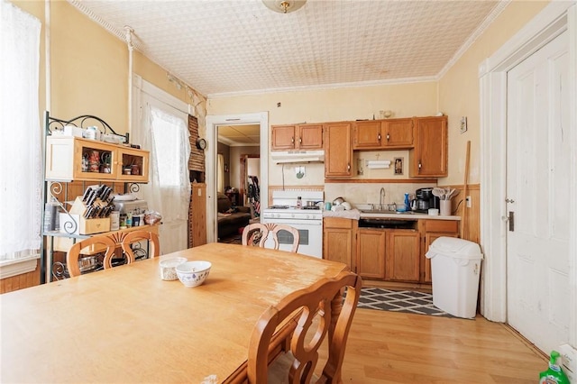 dining room featuring crown molding, sink, and light hardwood / wood-style flooring