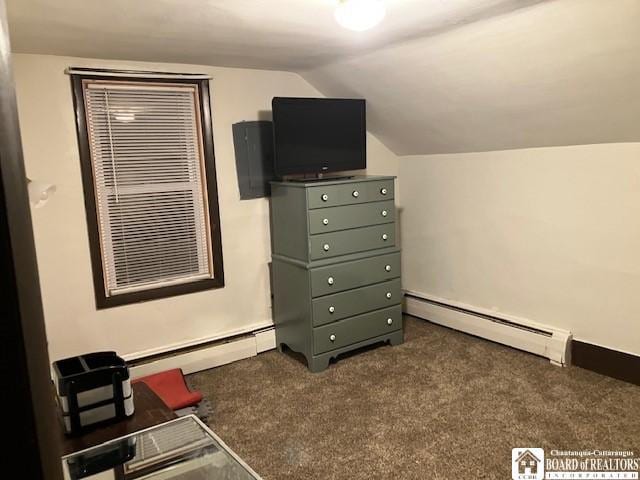 53 Burgess St, Hanover, NY 14136 - bedroom featuring baseboard heating, carpet floors, and lofted ceiling