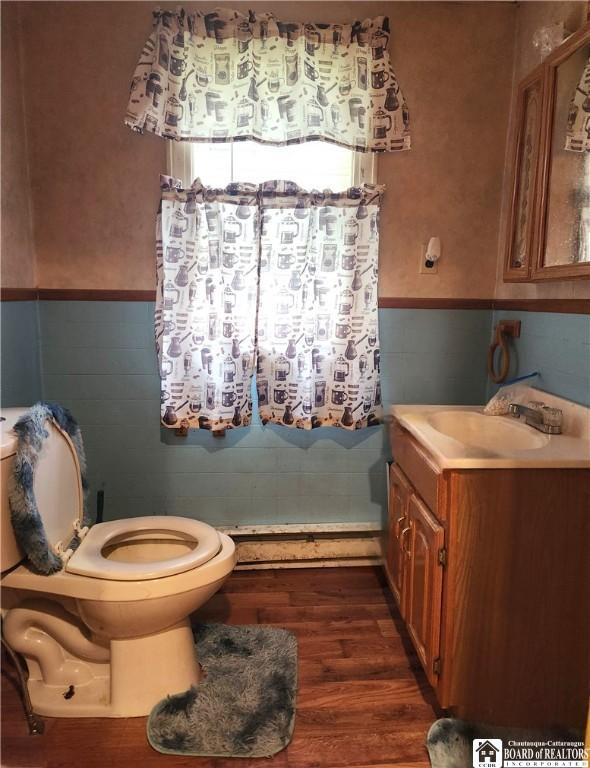 bathroom featuring vanity, hardwood / wood-style flooring, and toilet