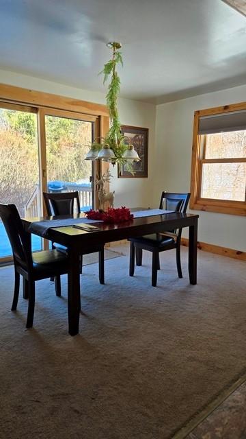 view of carpeted dining area