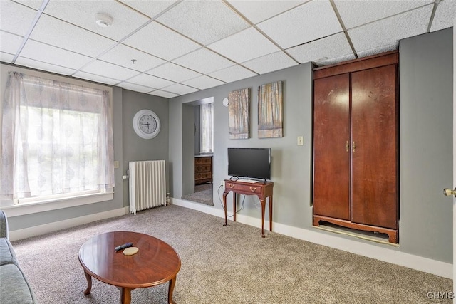 carpeted living room featuring radiator and a drop ceiling