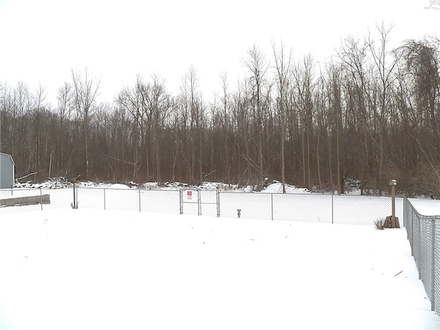 view of yard covered in snow