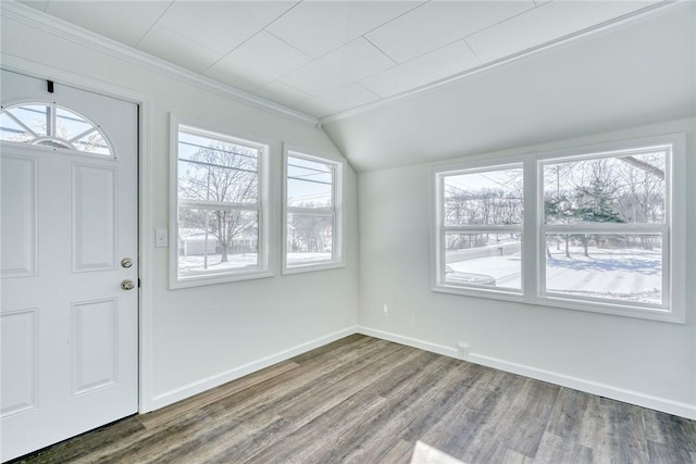 foyer featuring a healthy amount of sunlight, vaulted ceiling, and hardwood / wood-style floors