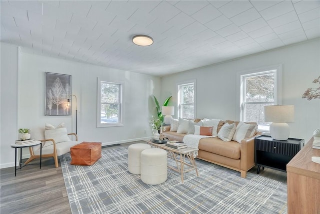 living room featuring wood-type flooring