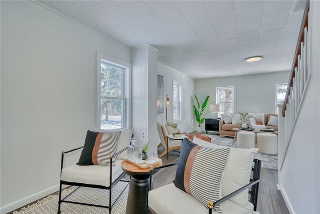 living room featuring hardwood / wood-style floors