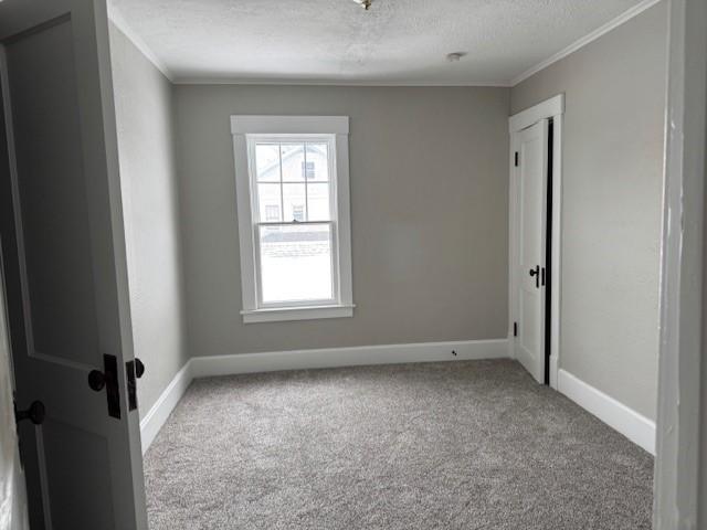 unfurnished room featuring ornamental molding, carpet, baseboards, and a textured ceiling