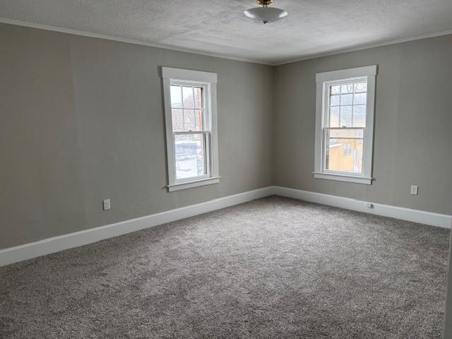 empty room with baseboards, a textured ceiling, ornamental molding, and carpet flooring