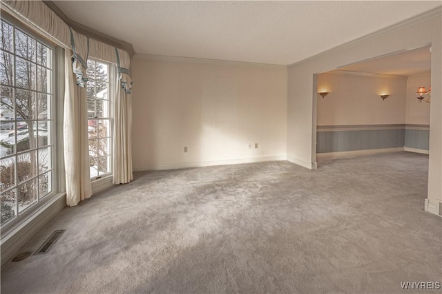 carpeted spare room with crown molding and a textured ceiling