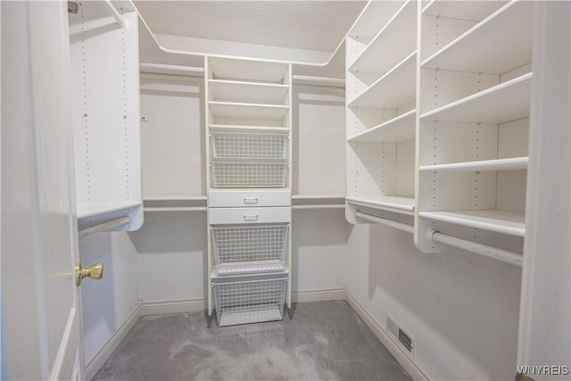 spacious closet featuring carpet floors