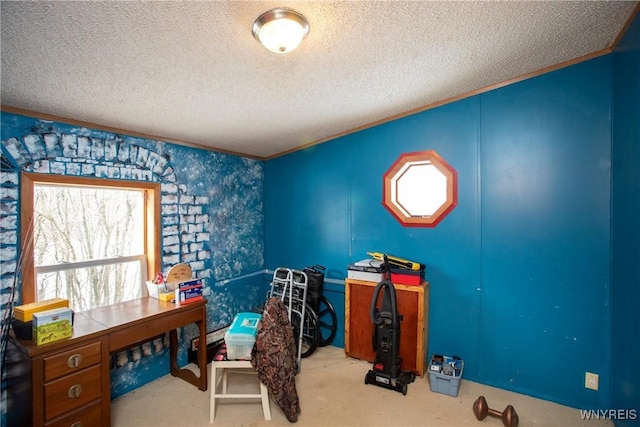 carpeted home office featuring crown molding and a textured ceiling