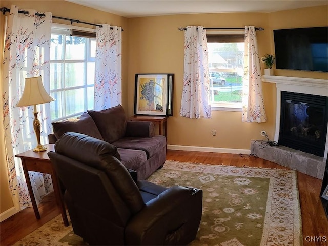 living room with wood-type flooring