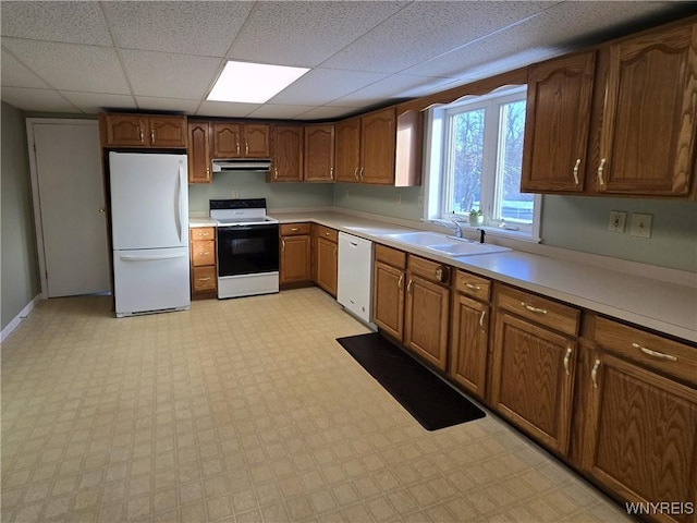 kitchen with sink, a paneled ceiling, and white appliances